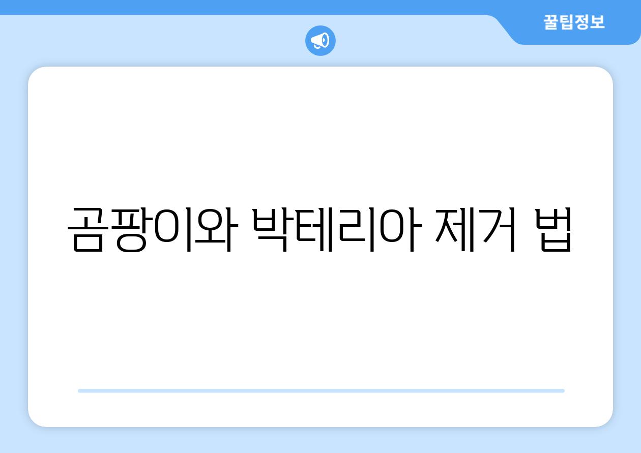 곰팡이와 박테리아 제거 법