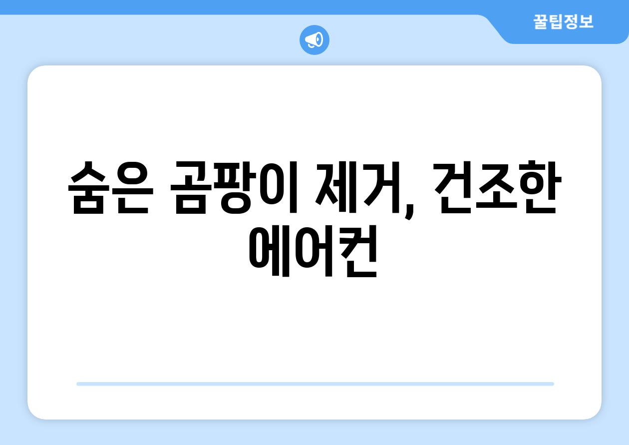 숨은 곰팡이 제거, 건조한 에어컨