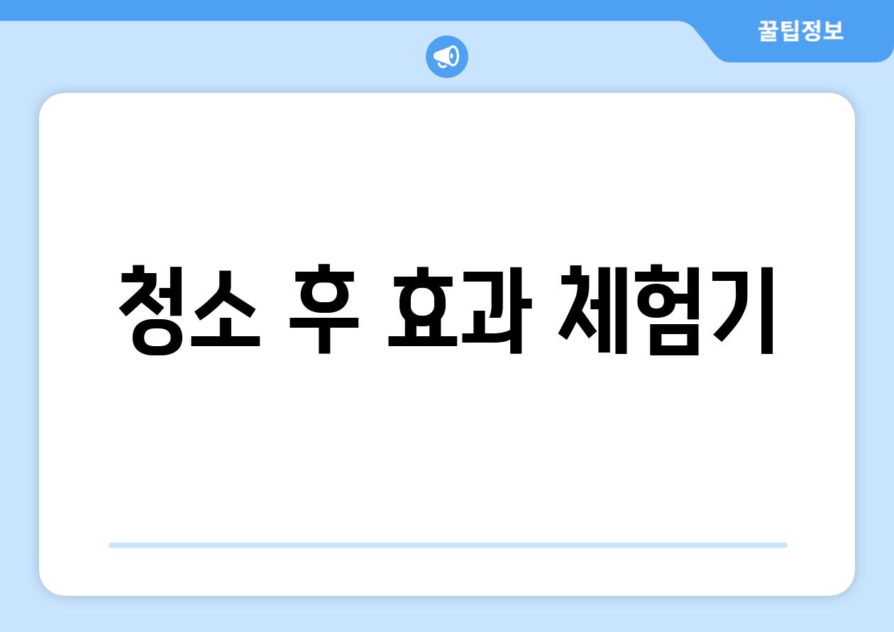 청소 후 효과 체험기