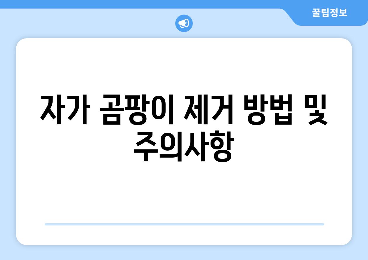 자가 곰팡이 제거 방법 및 주의사항