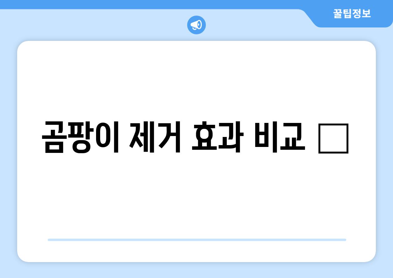 곰팡이 제거 효과 비교 📊