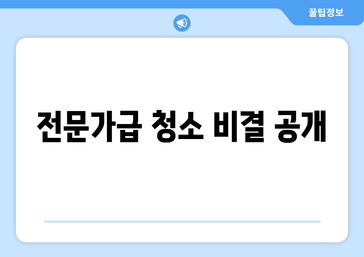 전문가급 청소 비결 공개