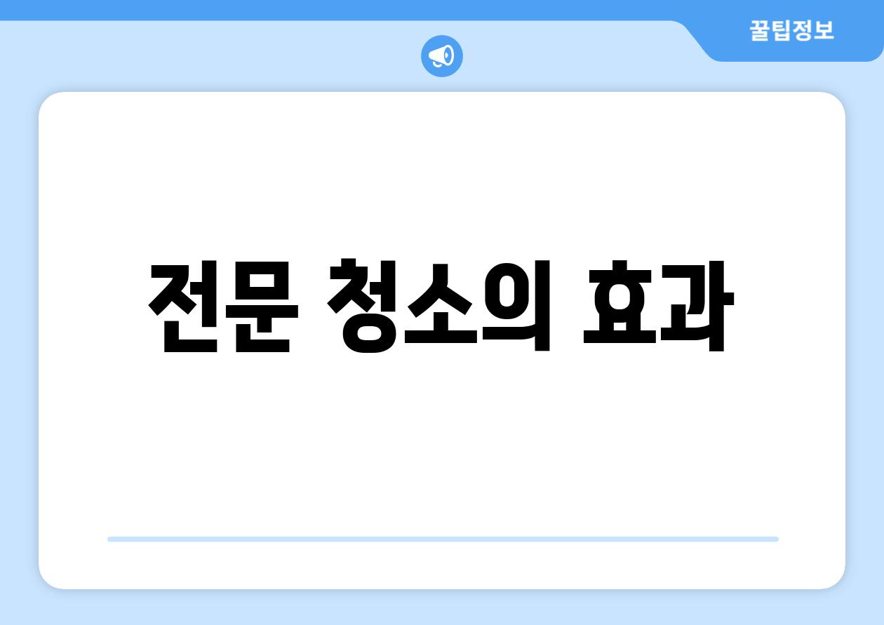 전문 청소의 효과