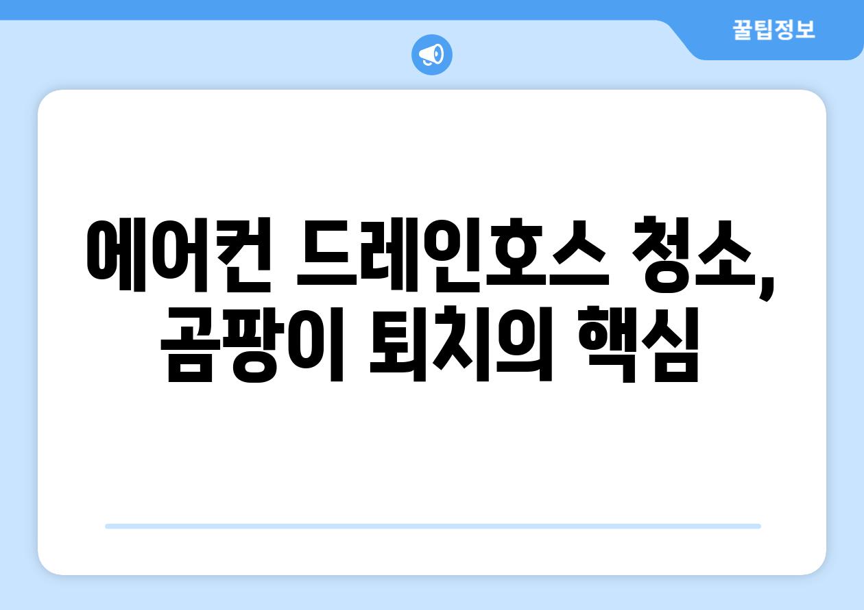 에어컨 드레인호스 청소, 곰팡이 퇴치의 핵심