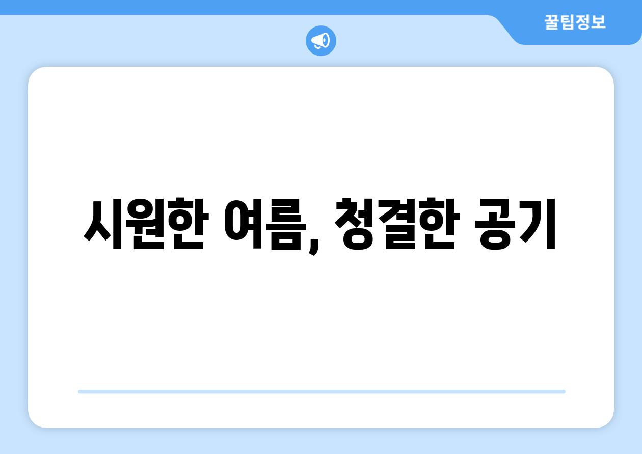 시원한 여름, 청결한 공기