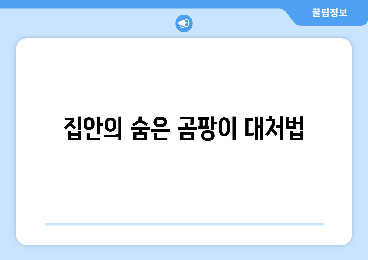 집안의 숨은 곰팡이 대처법