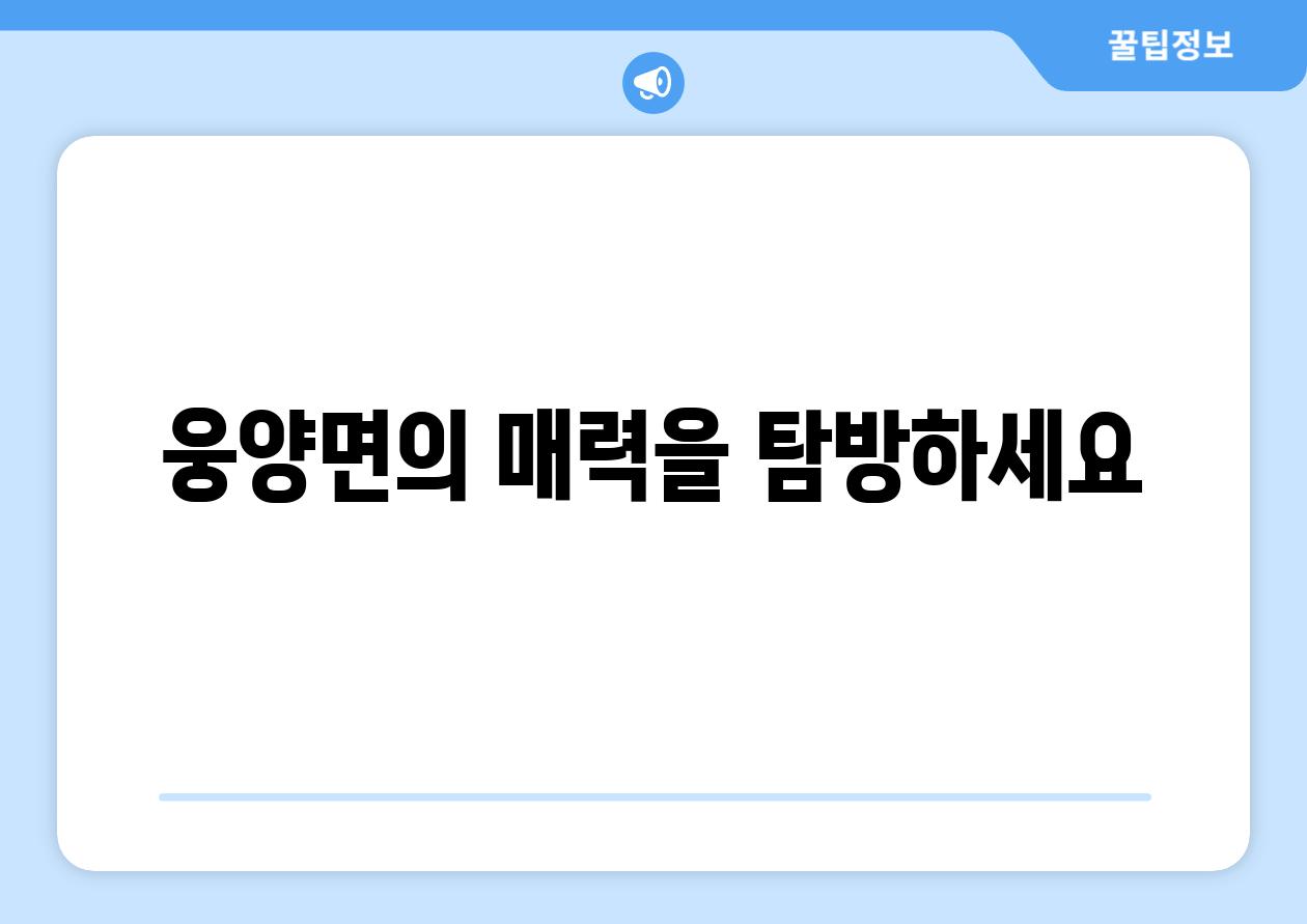 웅양면의 매력을 탐방하세요