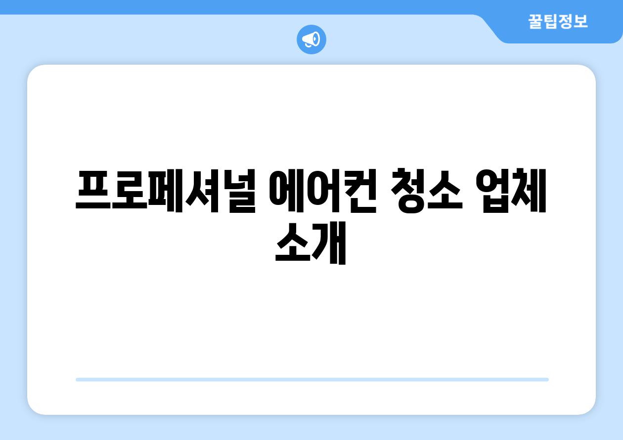 프로페셔널 에어컨 청소 업체 소개