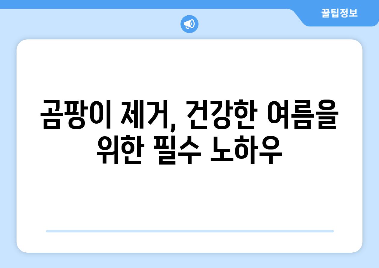곰팡이 제거, 건강한 여름을 위한 필수 노하우