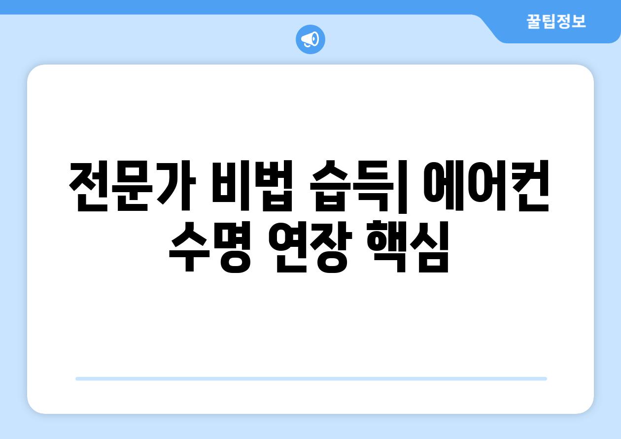 전문가 비법 습득| 에어컨 수명 연장 핵심