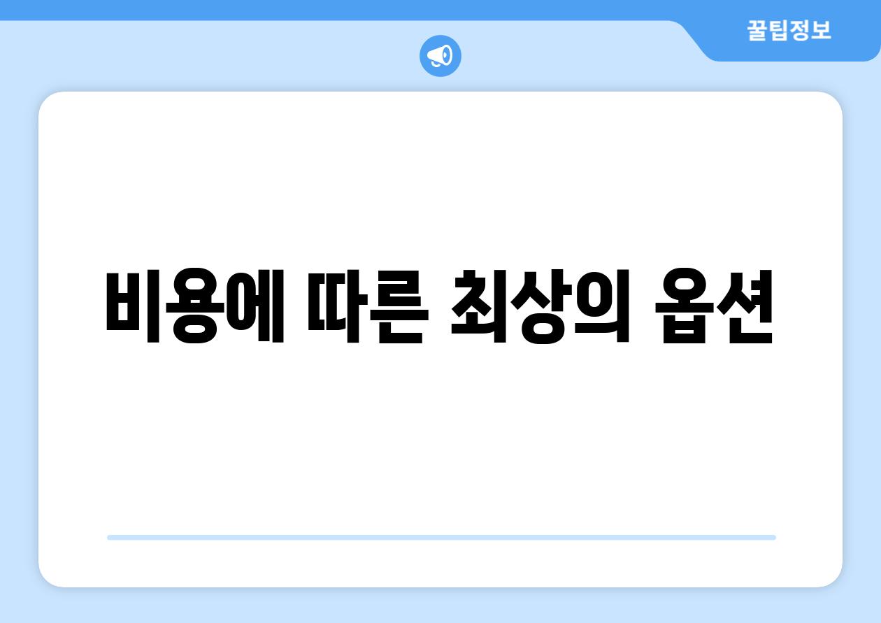 비용에 따른 최상의 옵션