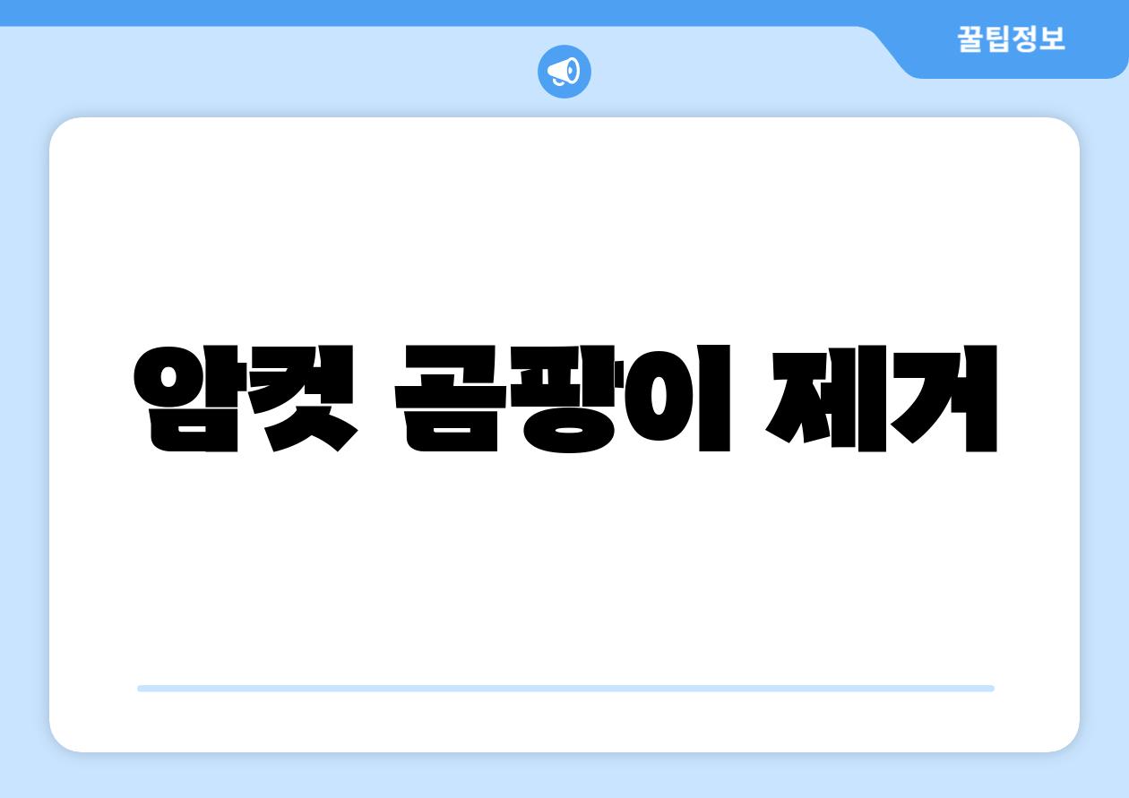 암컷 곰팡이 제거