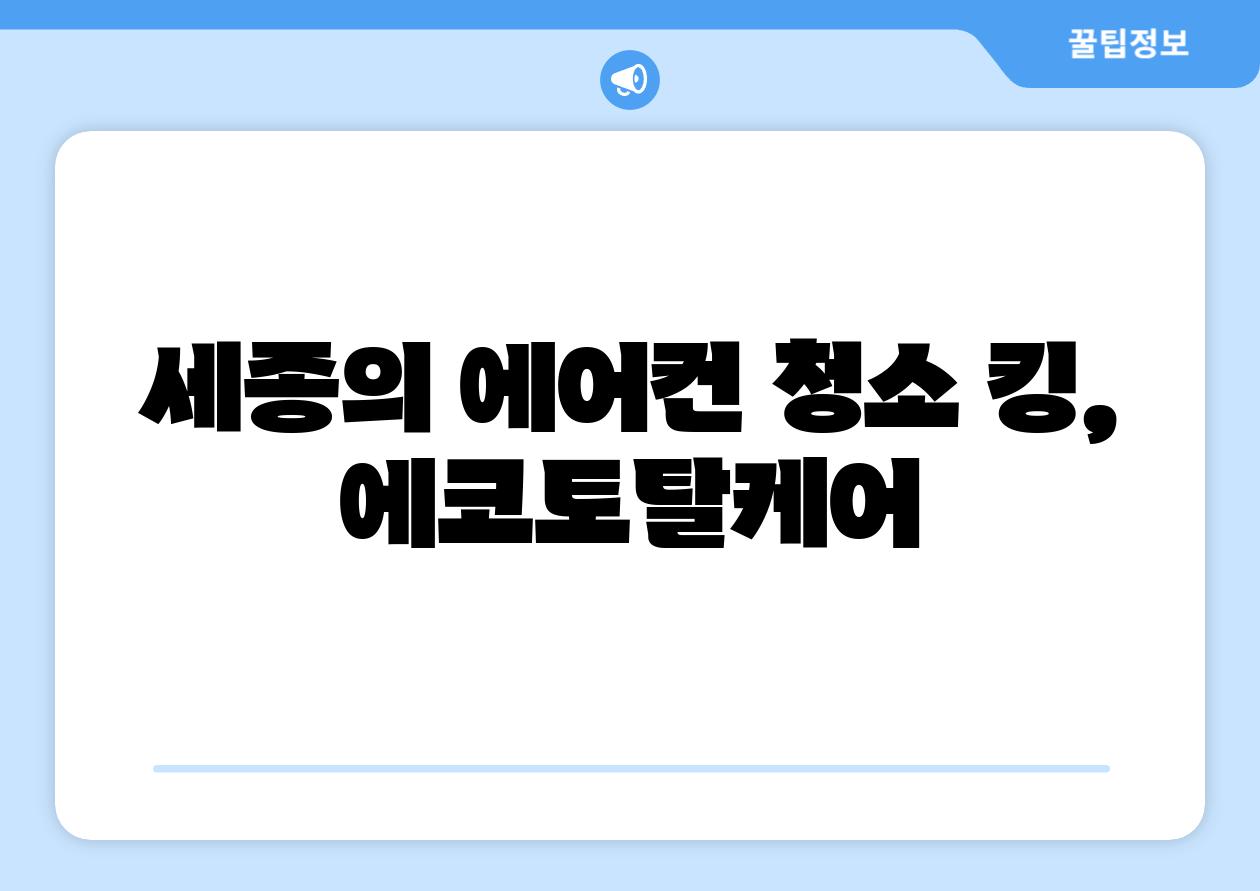 세종의 에어컨 청소 킹, 에코토탈케어
