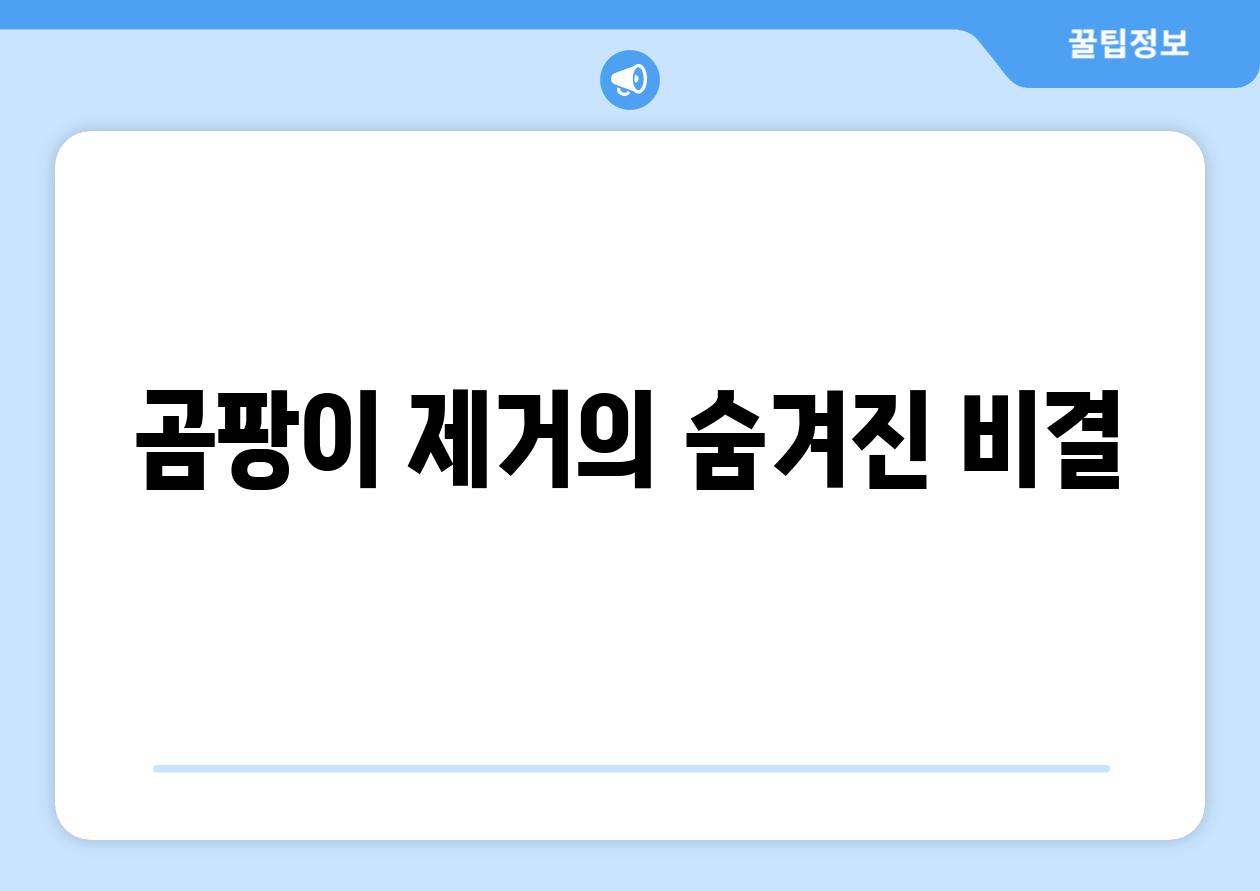 곰팡이 제거의 숨겨진 비결