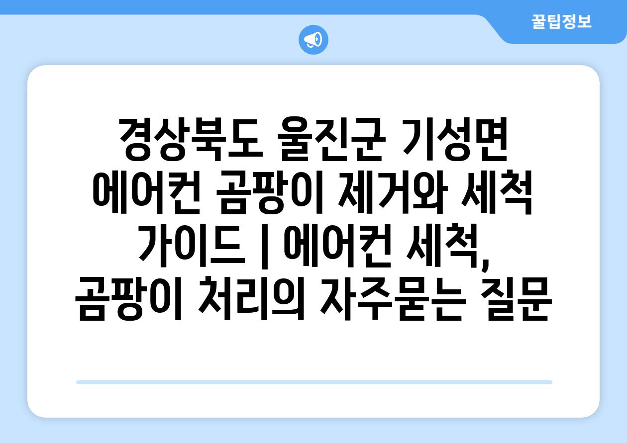 경상북도 울진군 기성면 에어컨 곰팡이 제거와 세척 가이드 | 에어컨 세척, 곰팡이 처리