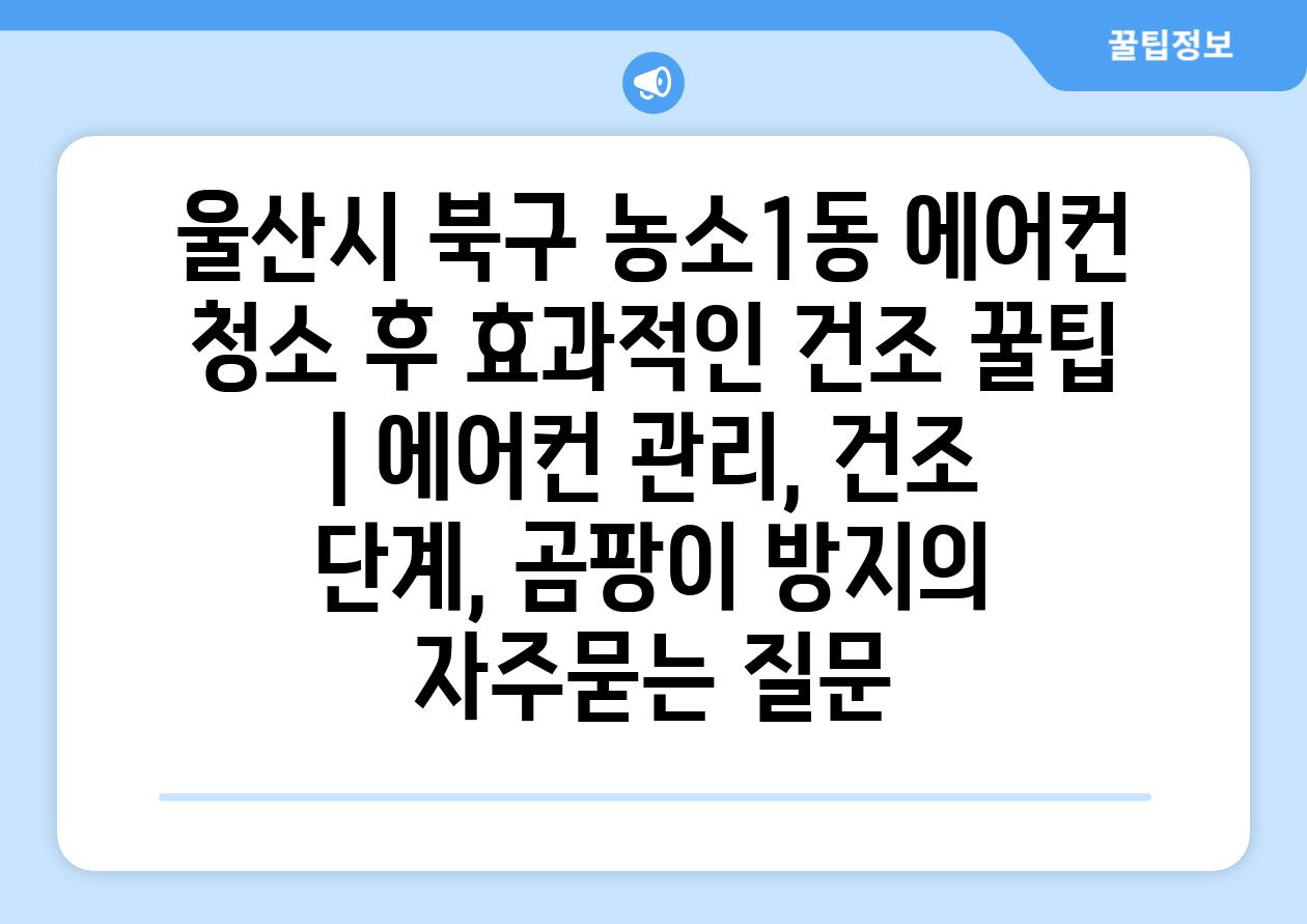 울산시 북구 농소1동 에어컨 청소 후 효과적인 건조 꿀팁 | 에어컨 관리, 건조 단계, 곰팡이 방지