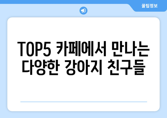 경기도 파주시 애견 카페 TOP5| 강아지와 함께하는 완벽한 힐링 공간 안내 | 애견 카페, 반려동물, 여가"