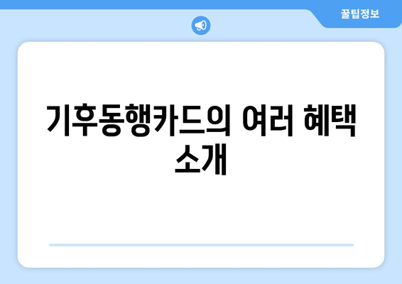 기후동행카드 구매 신청 사용법 총정리 | 신청 방법, 활용 팁, 주의사항