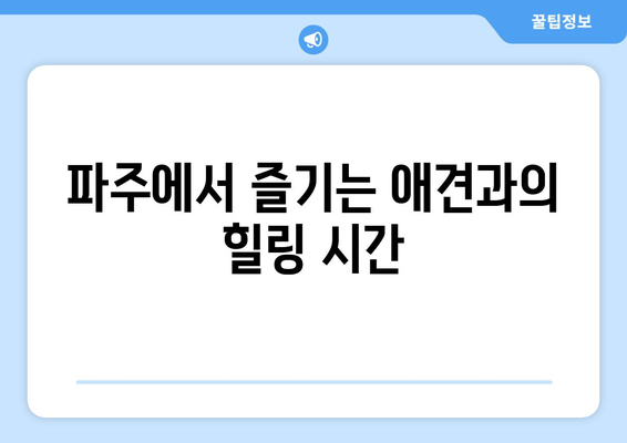 경기도 파주시 애견 카페 TOP5| 강아지와 함께하는 완벽한 힐링 공간 안내 | 애견 카페, 반려동물, 여가"