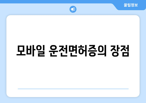 모바일 신분증 (모바일 운전면허증) 신청 발급 방법 완벽 가이드 | 신청 절차, 필요 서류, 유의사항