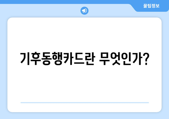 기후동행카드 구매 신청 사용법 총정리 | 신청 방법, 활용 팁, 주의사항
