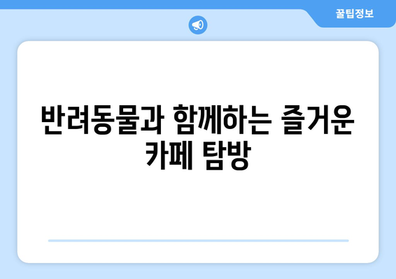 경기도 파주시 애견 카페 TOP5| 강아지와 함께하는 완벽한 힐링 공간 안내 | 애견 카페, 반려동물, 여가"