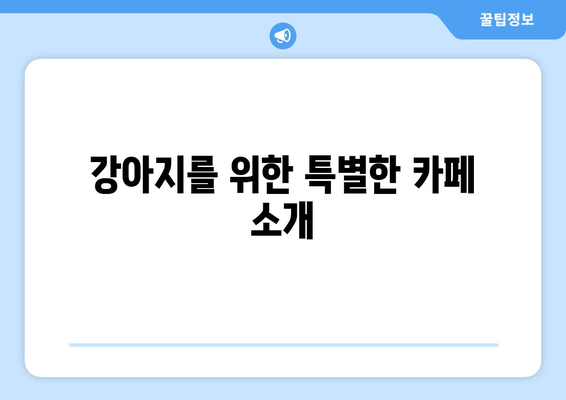 경기도 파주시 애견 카페 TOP5| 강아지와 함께하는 완벽한 힐링 공간 안내 | 애견 카페, 반려동물, 여가"