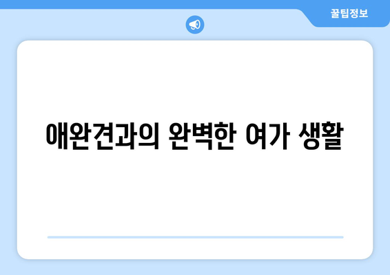 경기도 파주시 애견 카페 TOP5| 강아지와 함께하는 완벽한 힐링 공간 안내 | 애견 카페, 반려동물, 여가"
