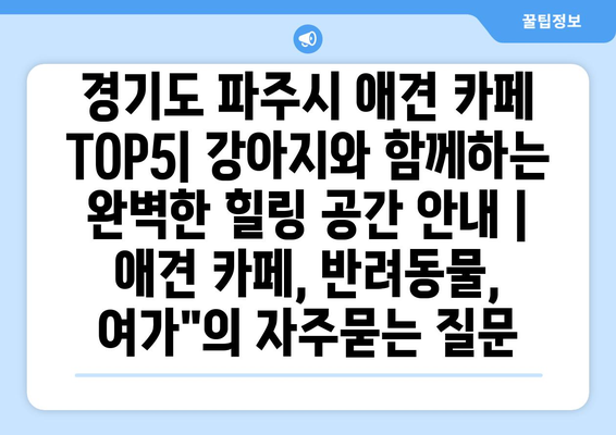 경기도 파주시 애견 카페 TOP5| 강아지와 함께하는 완벽한 힐링 공간 안내 | 애견 카페, 반려동물, 여가"
